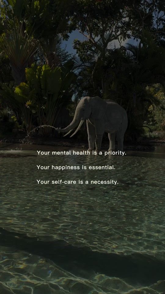 TikTok video thumbnail by itsmelilyrn