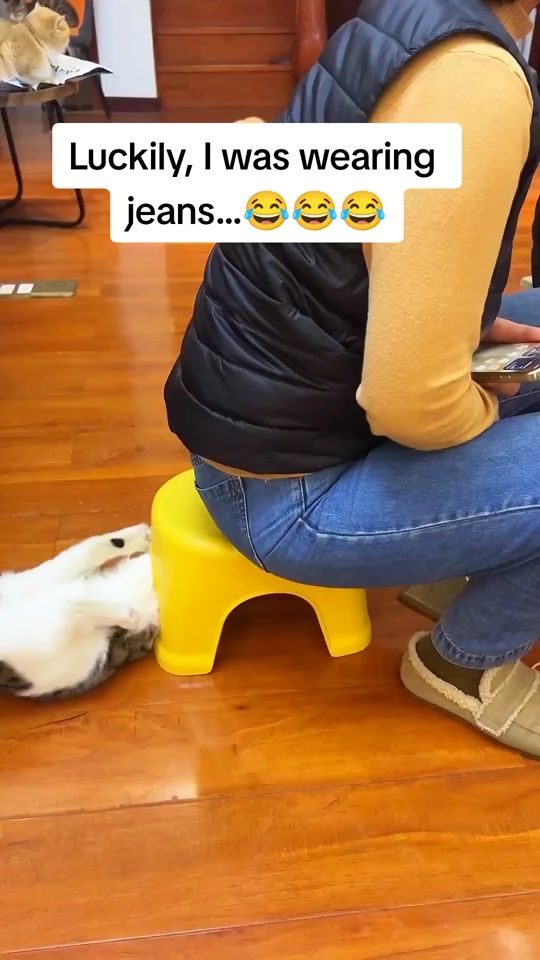TikTok video thumbnail by zhb3950
