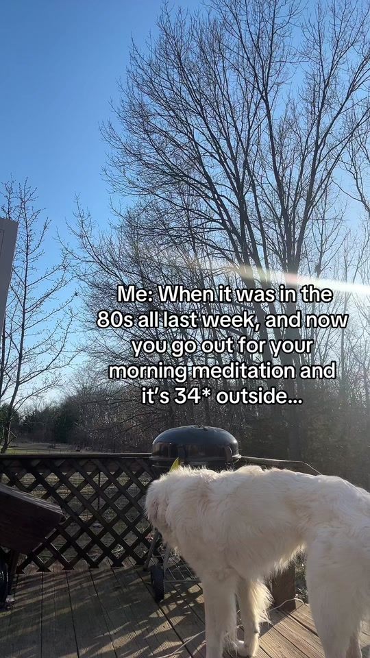 TikTok video thumbnail by nessad420