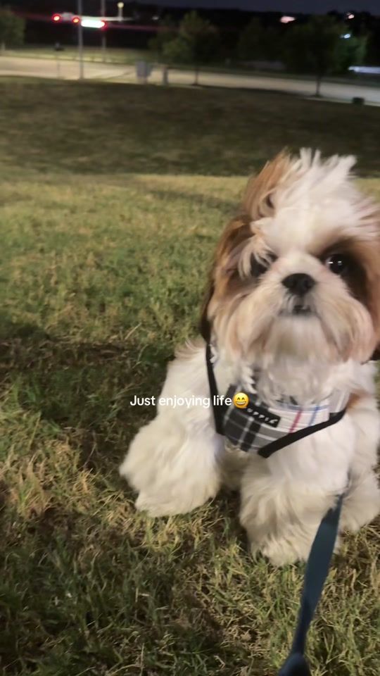 TikTok video thumbnail by billyonthebeatt