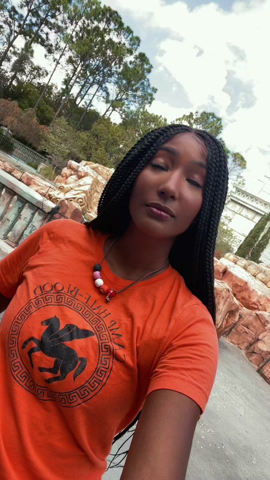 TikTok video thumbnail by literaryprincess