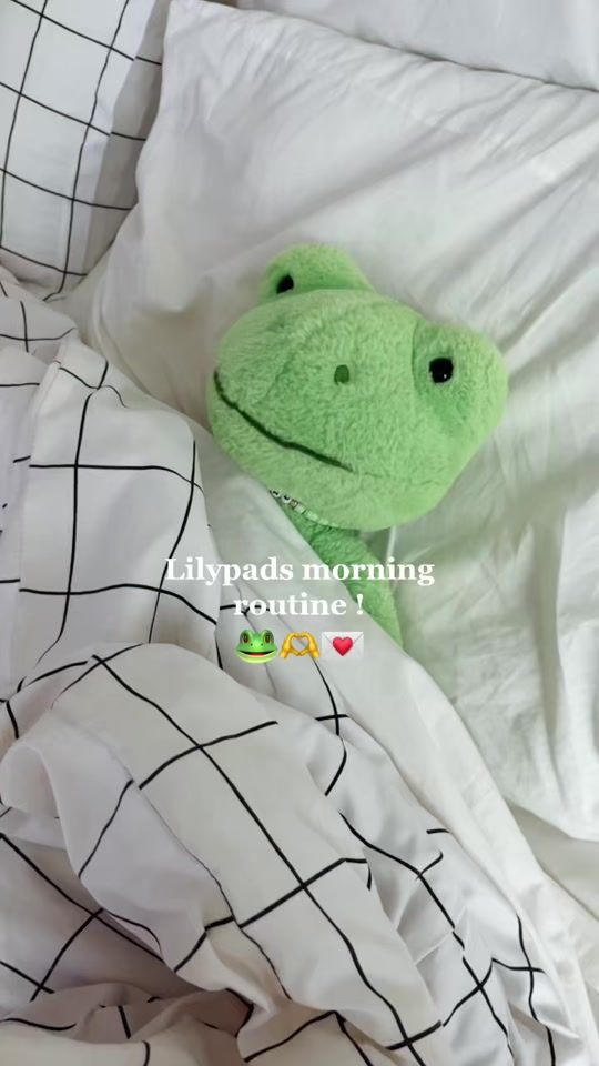 TikTok video thumbnail by just3froggies