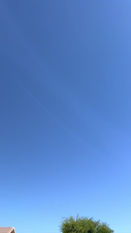 TikTok video thumbnail by ales_floralandmore