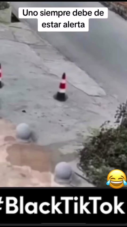 TikTok video thumbnail by elmarkio0526
