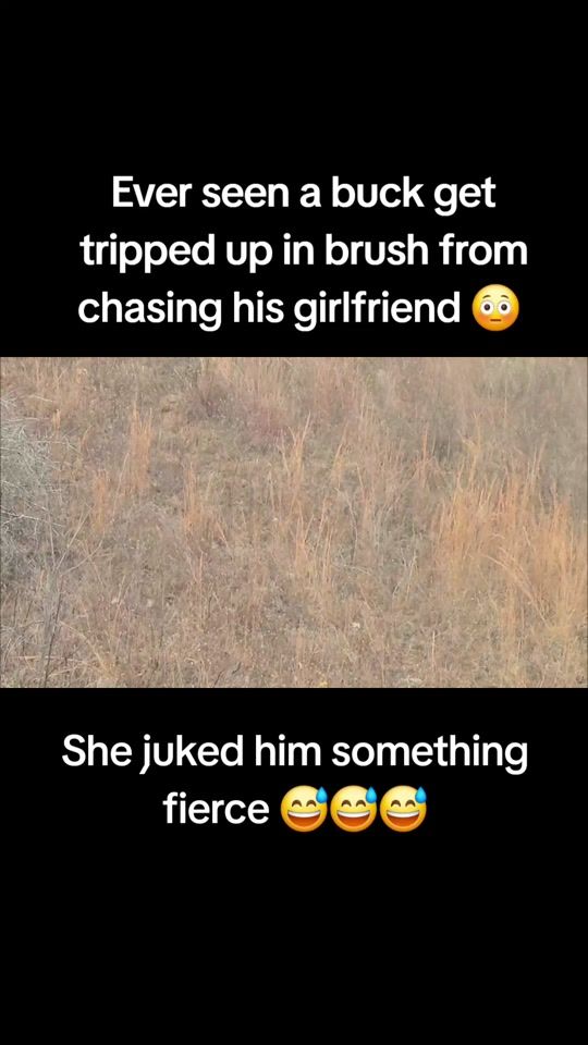 TikTok video thumbnail by ccostevens