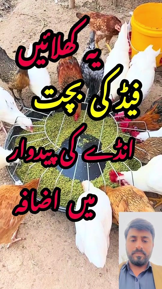 TikTok video thumbnail by farmtechwithfahad