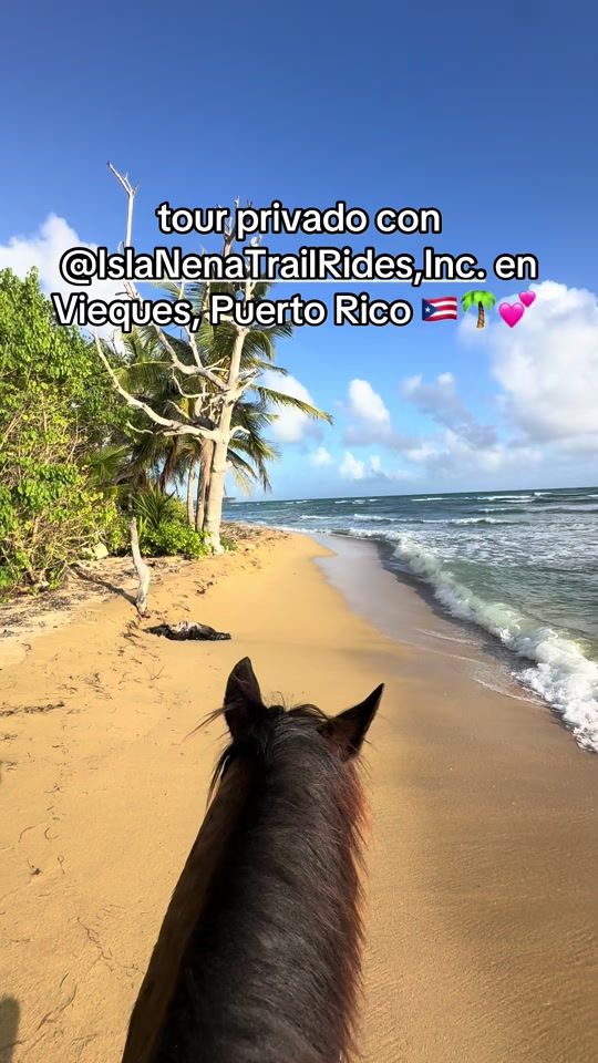 TikTok video thumbnail by atojendel