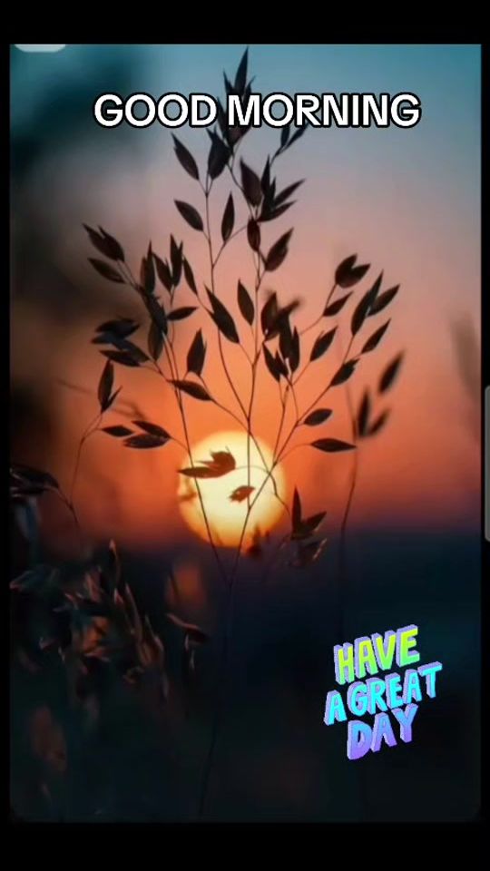 TikTok video thumbnail by callmeblem
