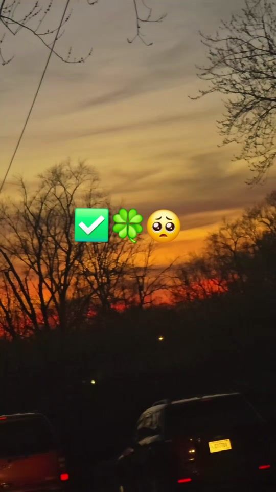 TikTok video thumbnail by toritoo440