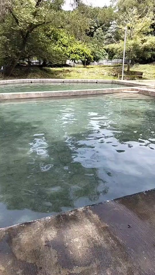 TikTok video thumbnail by user700422716