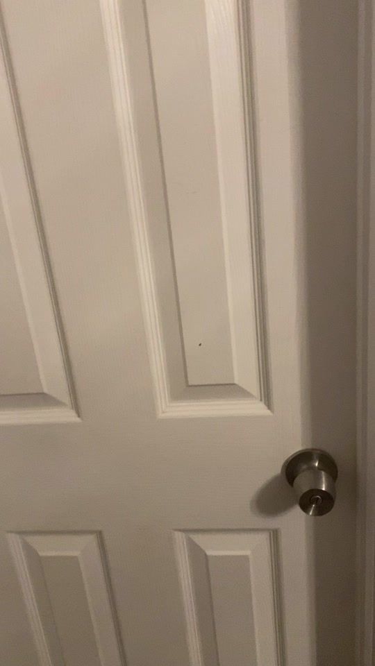 TikTok video thumbnail by teentigermom93