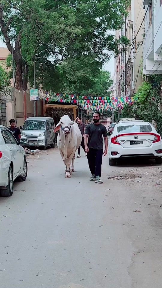 TikTok video thumbnail by sufirasheed