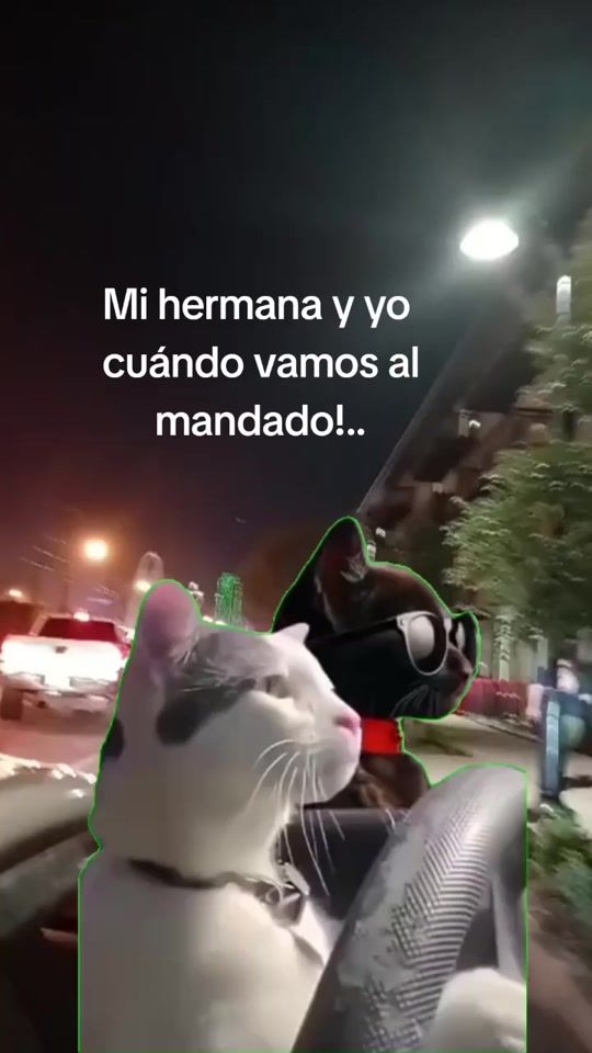 TikTok video thumbnail by soijosema
