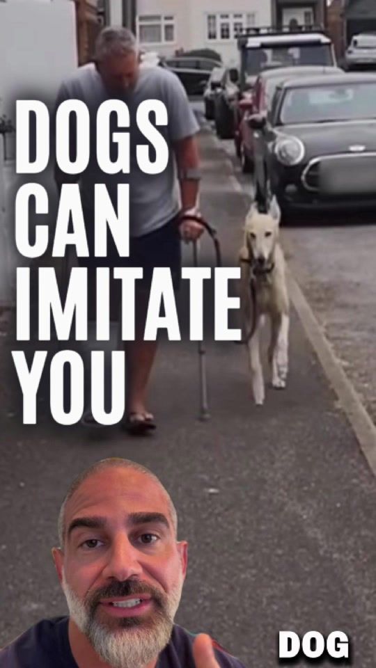 TikTok video thumbnail by leaderofthepacklv