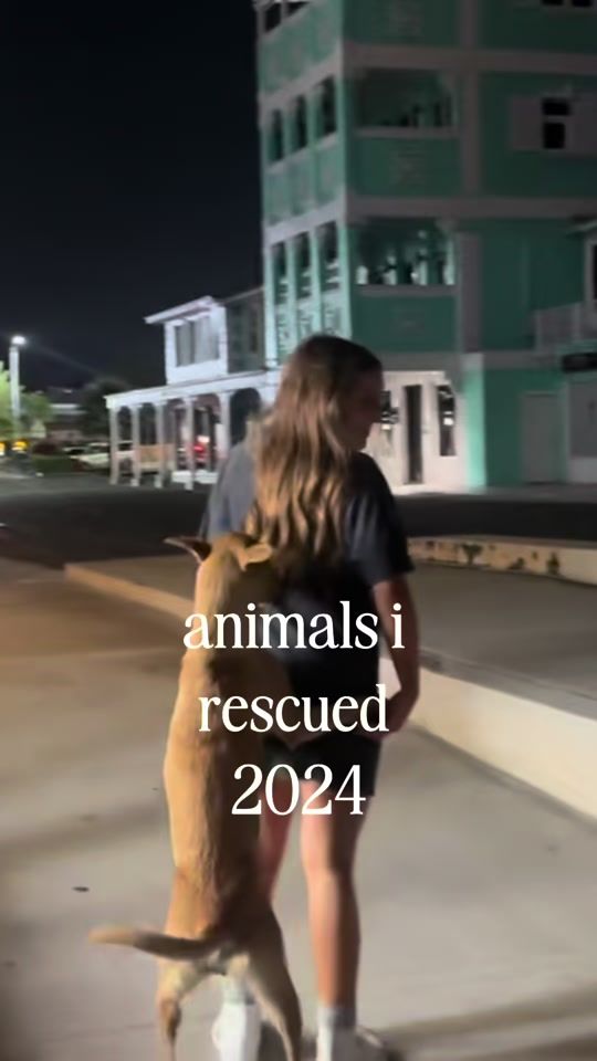 TikTok video thumbnail by piperrockelle