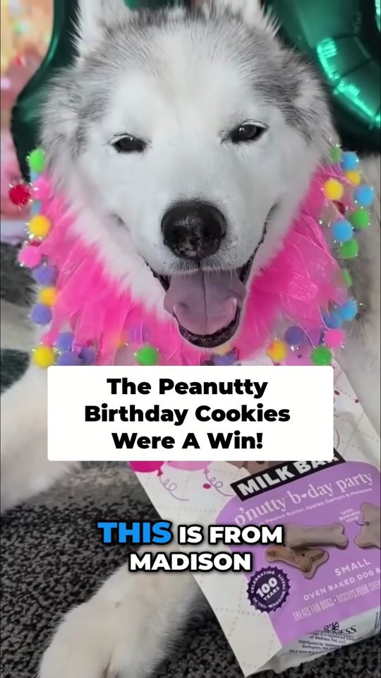 TikTok video thumbnail by gonetothesnowdogs