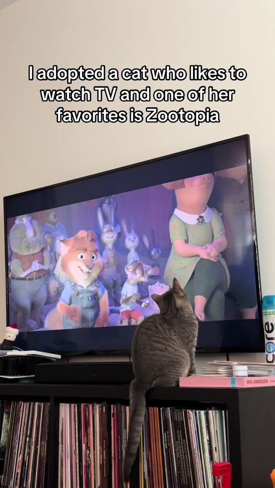 TikTok video thumbnail by ellawatchestv_