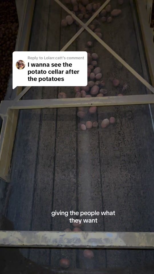 TikTok video thumbnail by samantherzz_