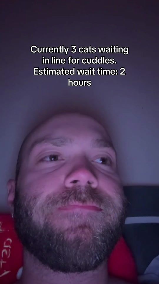 TikTok video thumbnail by imthe_annag