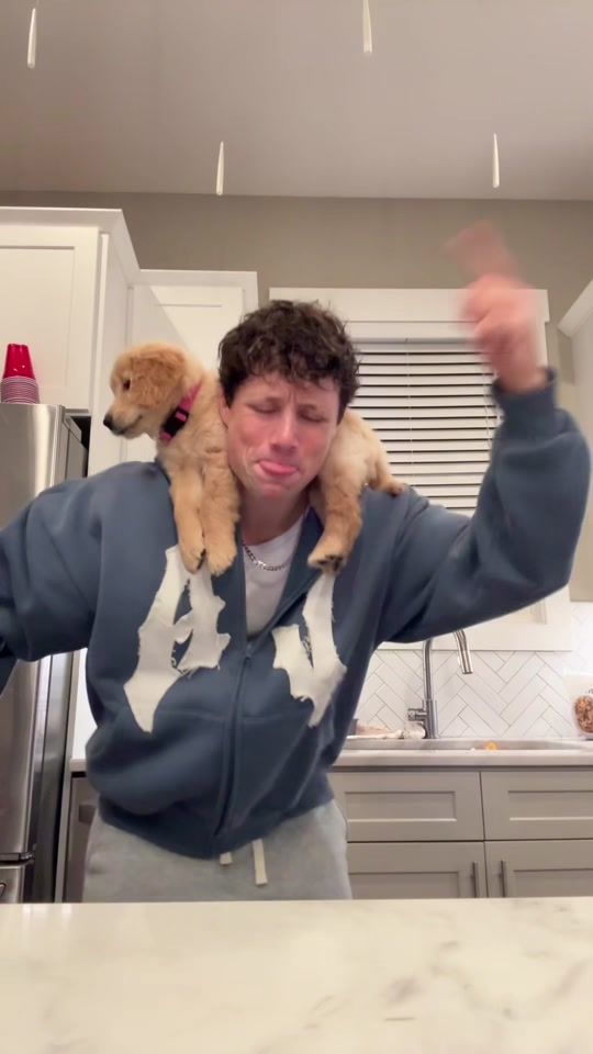 TikTok video thumbnail by real_jxn2