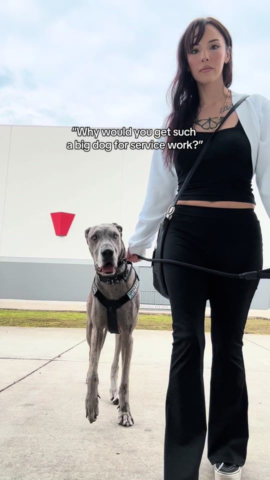 TikTok video thumbnail by sicksadgirly
