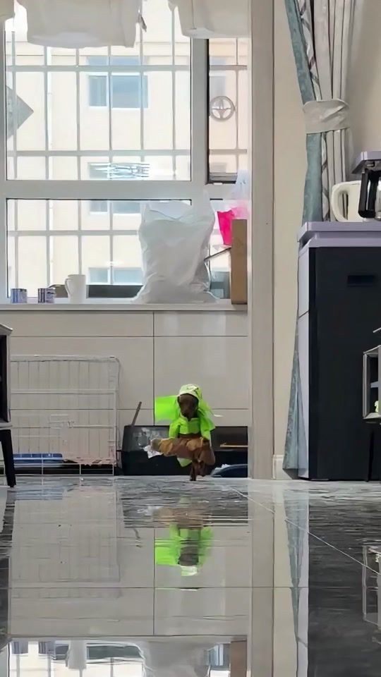 TikTok video thumbnail by huhululuds