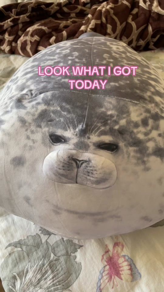 TikTok video thumbnail by oceandistant