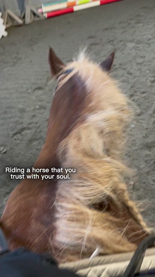 TikTok video thumbnail by briannatheanimallover