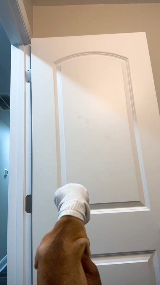 TikTok video thumbnail by deshay.1234