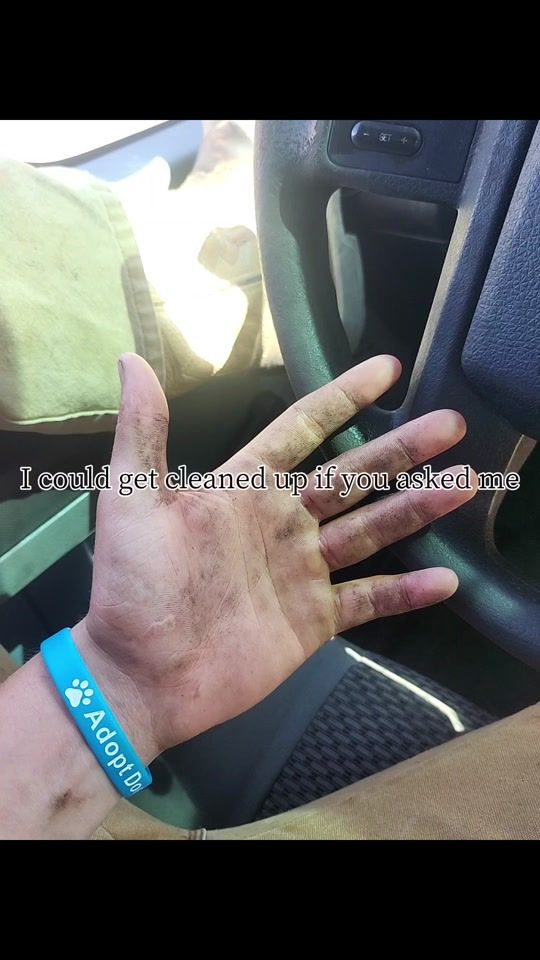 TikTok video thumbnail by dodgecummins4