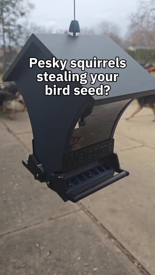 TikTok video thumbnail by titan.the.shepherd