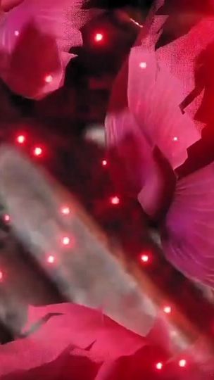 TikTok video thumbnail by deathevan