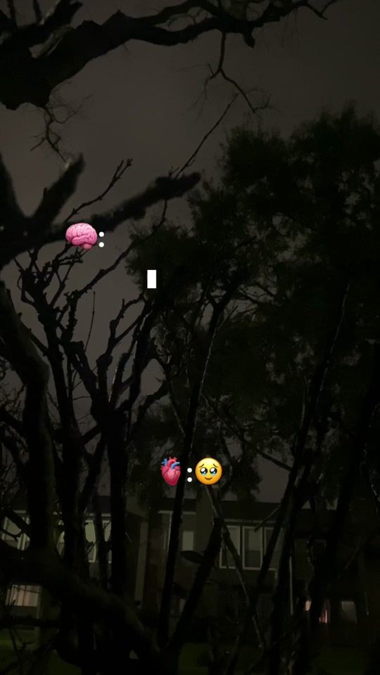 TikTok video thumbnail by fracesdanyb