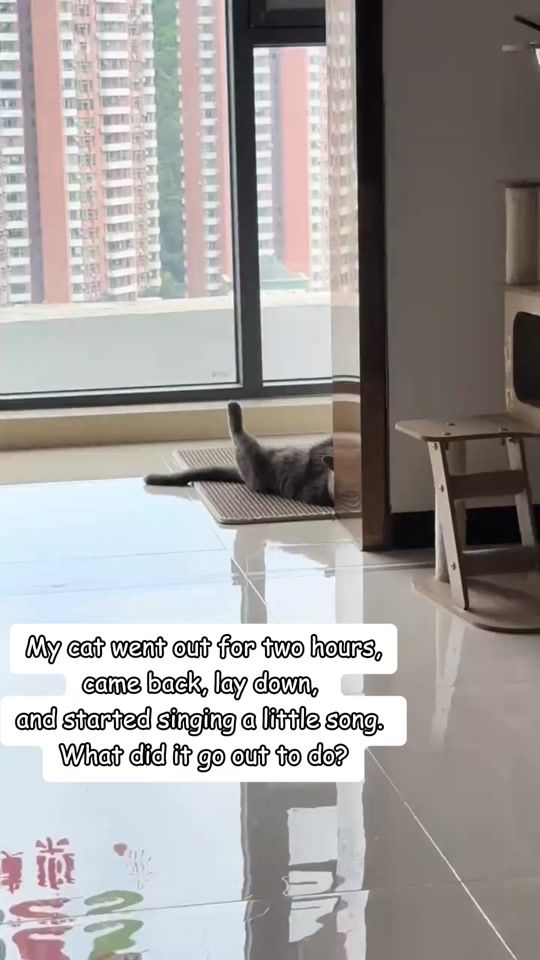 TikTok video thumbnail by moewaiicat