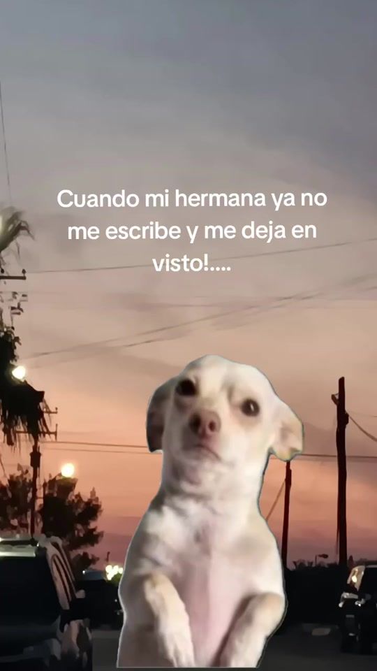 TikTok video thumbnail by soijosema
