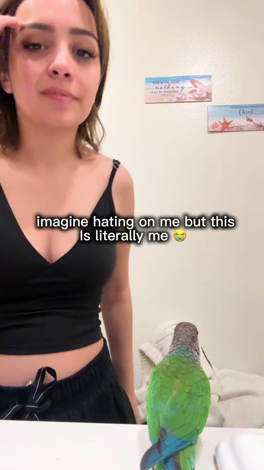 TikTok video thumbnail by itz.ash.leyyy