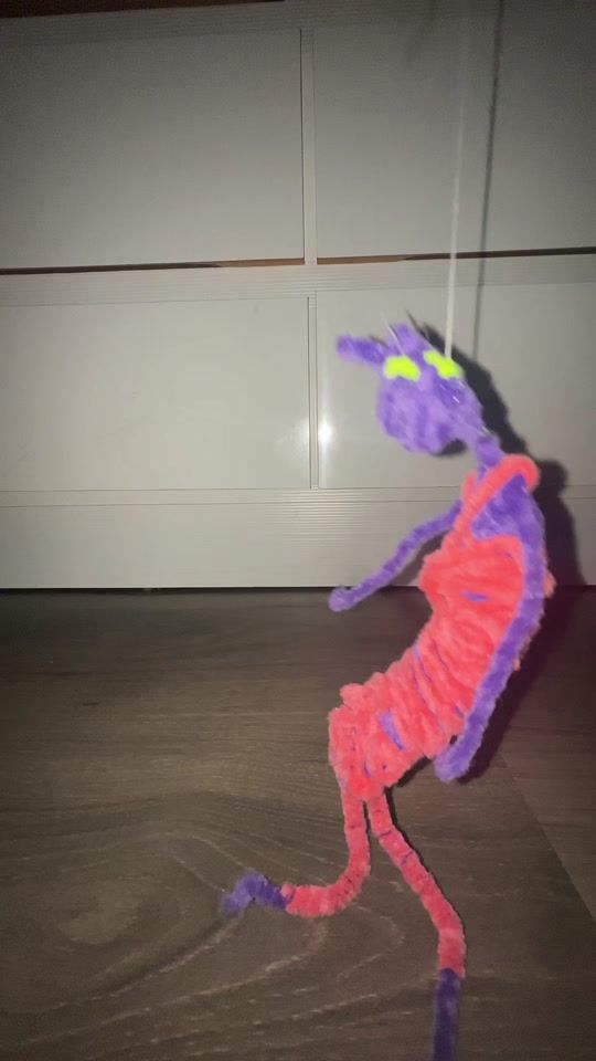 TikTok video thumbnail by pompompounder
