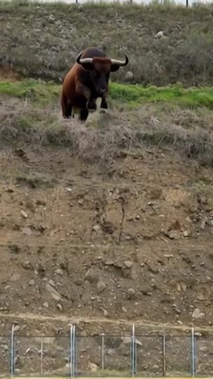 TikTok video thumbnail by mund0_drama