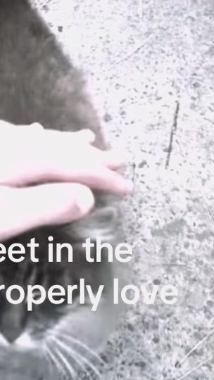 TikTok video thumbnail by themindofdylan
