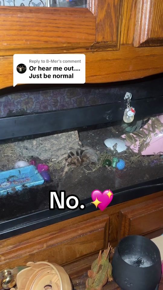 TikTok video thumbnail by ratboyrainbow