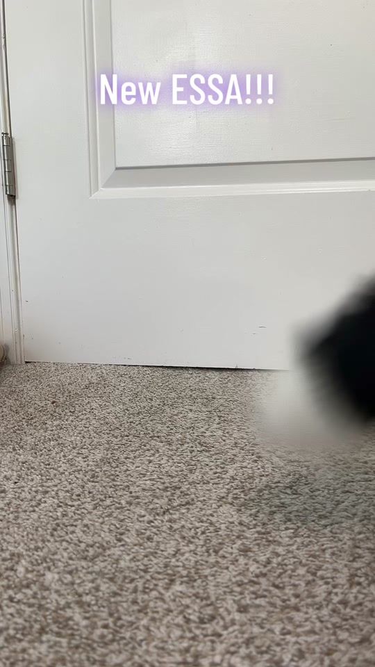 TikTok video thumbnail by everest.and.eclipse