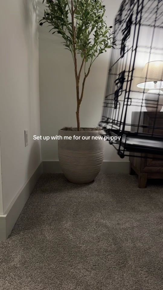 TikTok video thumbnail by jamiealtamura