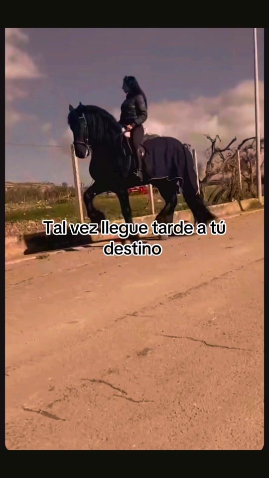 TikTok video thumbnail by lapelinegra685
