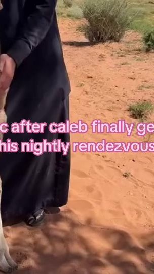 TikTok video thumbnail by sunjjunni