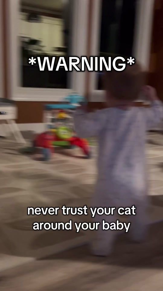TikTok video thumbnail by spicylilbug