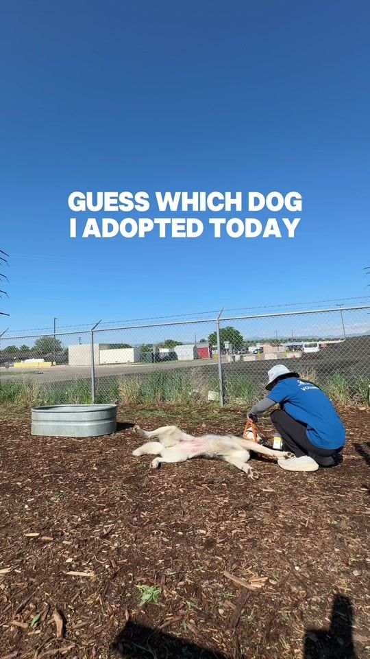 TikTok video thumbnail by anamarcks