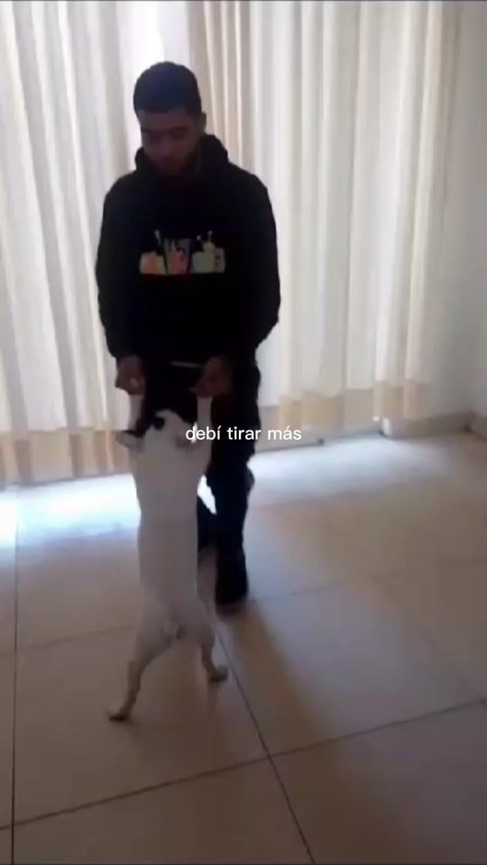 TikTok video thumbnail by aamg18__