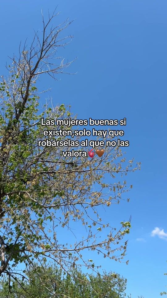 TikTok video thumbnail by nancyportillo10