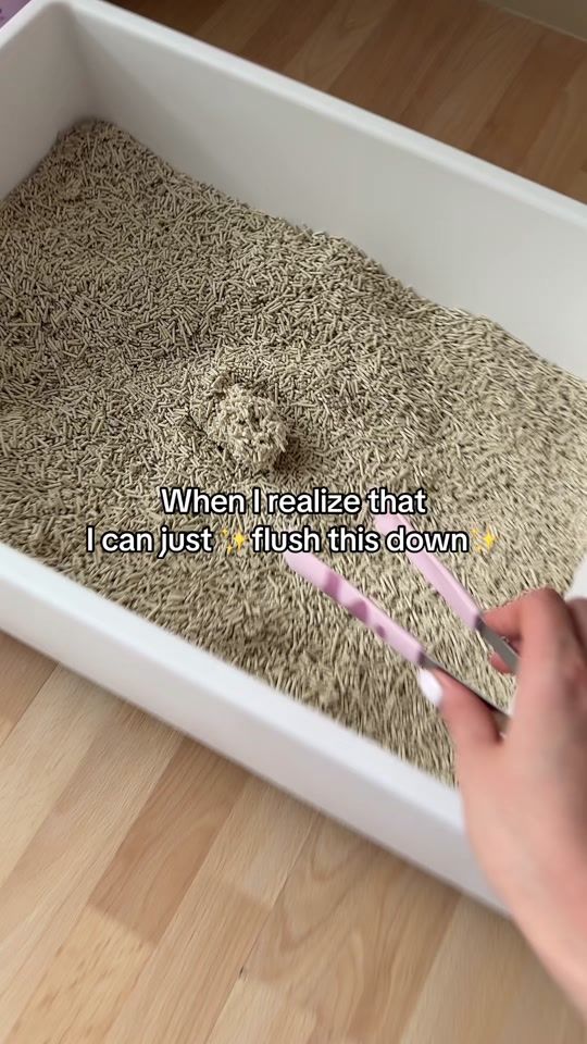 TikTok video thumbnail by tuftandpaw