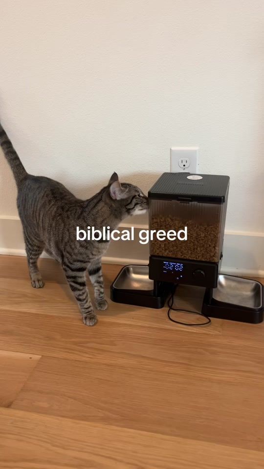 TikTok video thumbnail by tillyandyoda